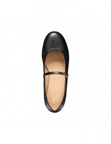 D PALMARIA A - NAPLACK