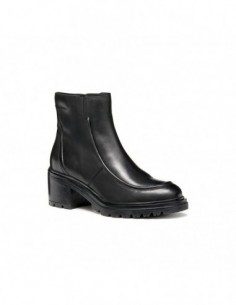 D DAMIANA B - SCAM. 2