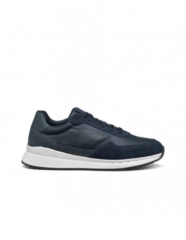 U BRANTHON A - TESS.CERATO+SCA