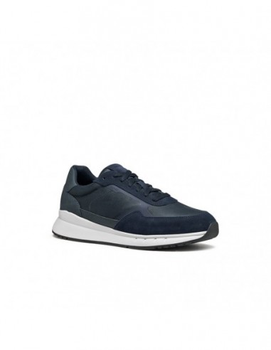 U BRANTHON A - TESS.CERATO+SCA