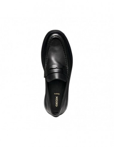 U MASSIMIANO B - SCAM.