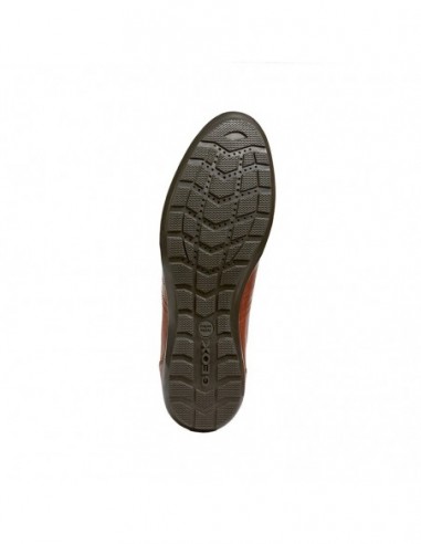 U SYMBOL B - SMO.LEA