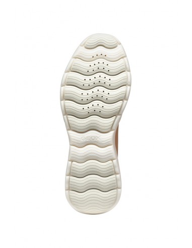 D XTORS D - MESH+GEOBUCK