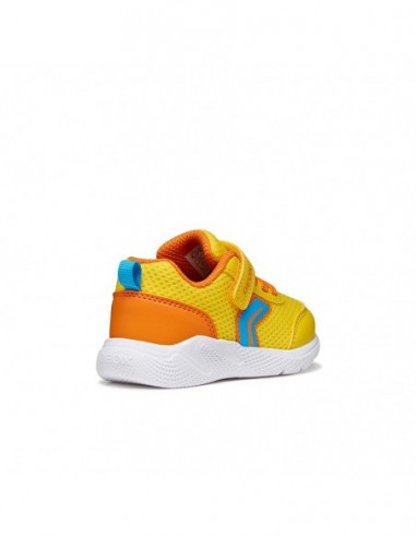 SPRINTYE B. C - MESH+GEOBUCK