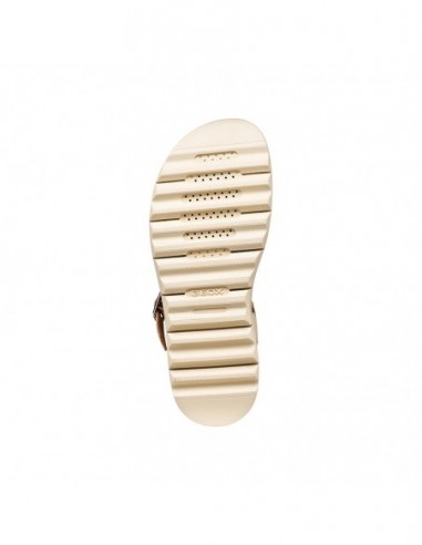 XAND 2.1S