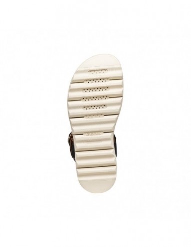 XAND 2.1S