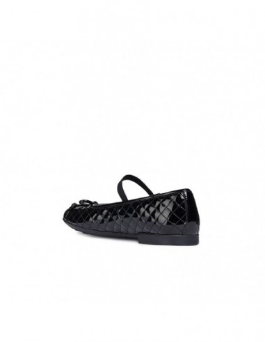 PLIE' B - VERN.SINT.