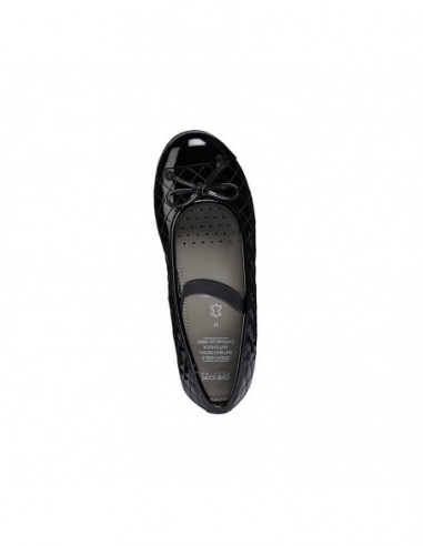 PLIE' B - VERN.SINT.