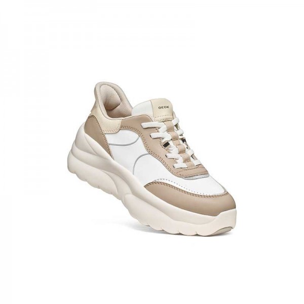 D XTORS PLUS