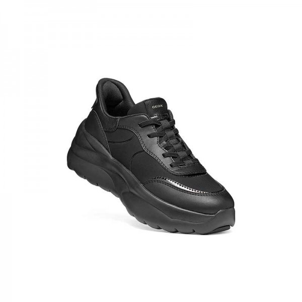 D XTORS PLUS