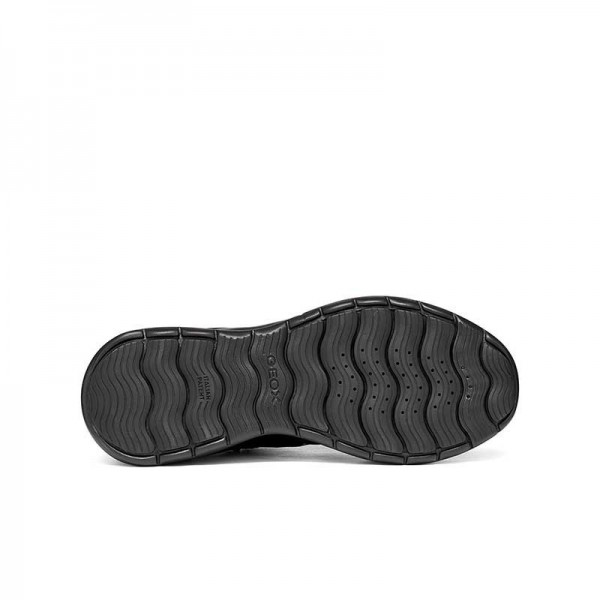 D XTORS PLUS