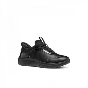 D PLUMMERY PLUS 2