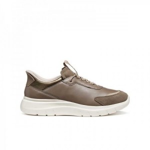 D PLUMMERY PLUS