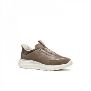 D PLUMMERY PLUS 2