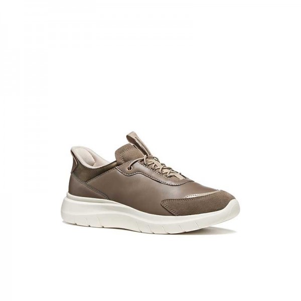D PLUMMERY PLUS