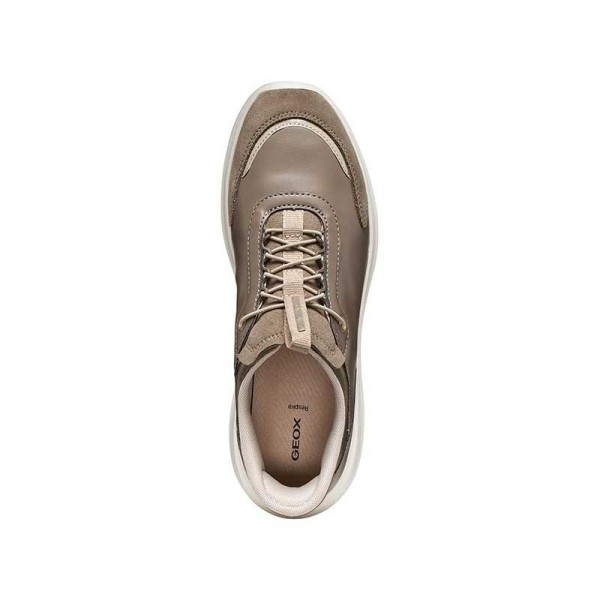 D PLUMMERY PLUS