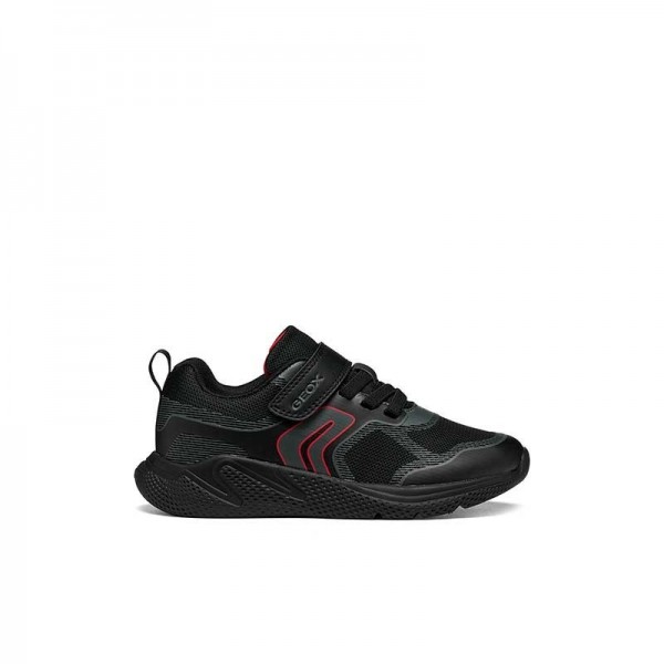 J SPRINTYE